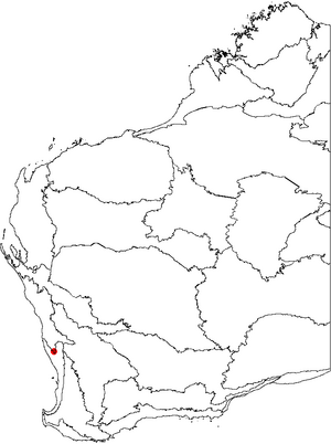 Dryandra prionotes map