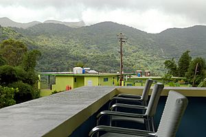 El Yunque National Forest from Sector Cubuy in Río Blanco