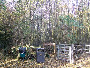 Entrance to South Wood - geograph.org.uk - 1043731