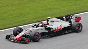 FIA F1 Austria 2018 Nr. 20 Magnussen