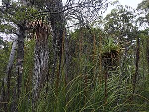 February 2017 Southern Tasmania