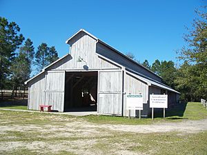 Florida Ag Museum Caldwell Dairy Barn01
