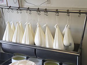 Fresh chevre hanging in a farmstead dairy