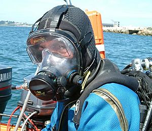 Full face diving mask - ocean reef