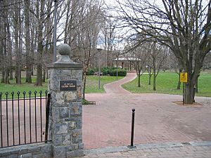 Glebe Park Canberra