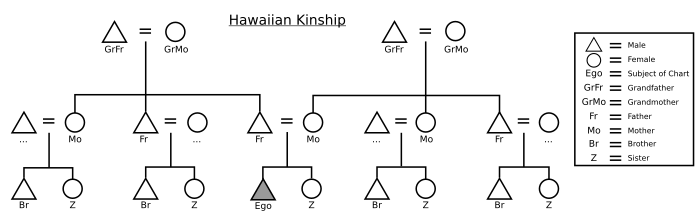 Graphic of the Hawaiian kinship system