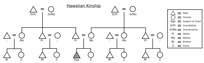 Hawaiian Kinship Facts For Kids