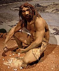 Homo heidelbergensis (10233446)
