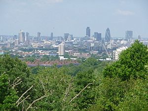 Honor Oak Park, city view from One Tree Hill - geograph.org.uk - 1331516