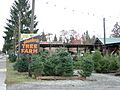 Hunter's Tree Farm 01