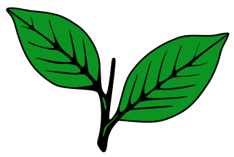 Indian Election Symbol Two Leaves