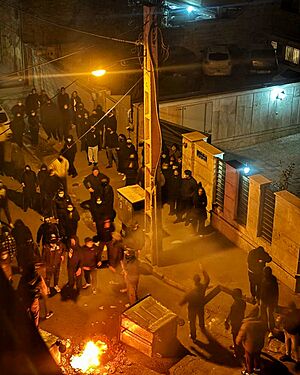 Iran protests 8 January 2026