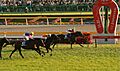 Japan Cup 20071125R1