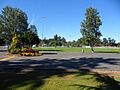 Lewis-Park-Courtenay-BC-Fields