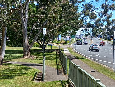 Lions Park, Ashmore, Queensland, Australia.jpg