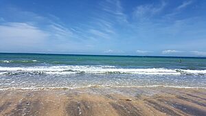Mairangi Bay Beach - Northshore, Auckland, New Zealand