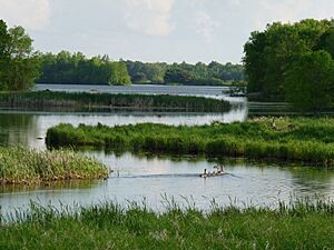 Miller Dam Flowage with Canada Geese