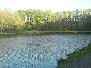 Mossvalley fishing lake.jpg