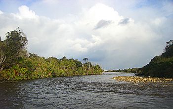 Mouth-of-the-Wairaurahiri-River.jpg