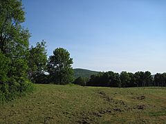 Mt. Ararat from Elkview at Independent Lake Camp in Orson, Pennsylvania