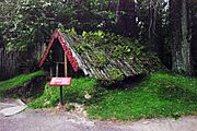 NZL-rotorua-te-wairoa-buried-village