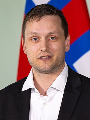 Nordic Prime Ministers' Summer Meeting at in Finland on 26 May 2025 - 87 (cropped).jpg