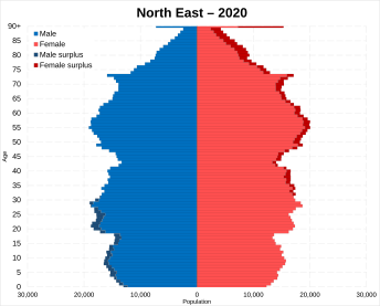 North East population pyramid 2020