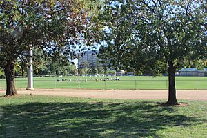 Northbourne Oval, Braddon