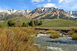 A photo of the Boulder Mountains and the Big Wood River