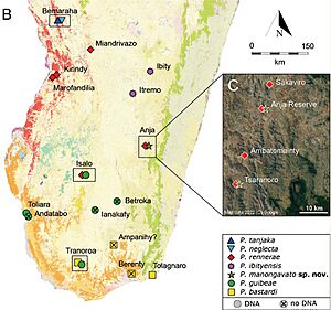 P. bastardi clade range map.jpg