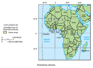 Parachanna africana distribution.gif