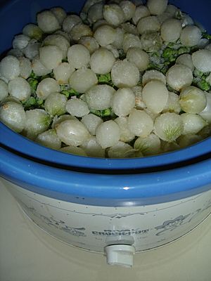 Pearl onions.jpg