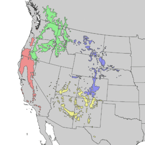 Pinus ponderosa subspecies range map 1.gif
