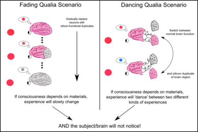 Qualia thought experiments