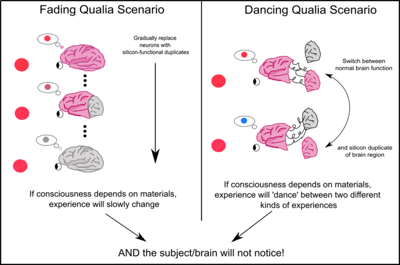 Qualia thought experiments