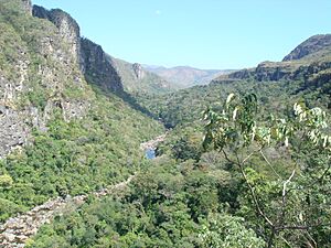 Rio em São Jorge