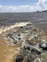 Rocks at Front Beach in Ocean Springs, Mississippi