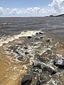 Rocks at Front Beach in Ocean Springs, Mississippi