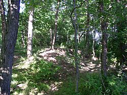 Rowlandtown Mound with pit dug by archaeologists HRoe 2003 01.jpg