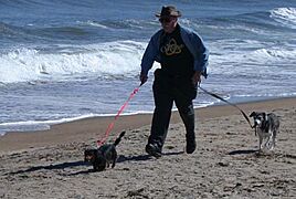 September beach in Salisbury, Massachusetts