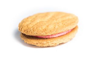 Single Monte Carlo Biscuit (intact)