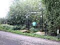 St Plegmund's well