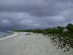 Taongi Lagoon Shore