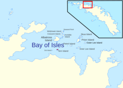 Tern Island - Bay of Isles, South Georgia