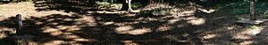 The place of the duel between Broderick and Terry