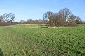 Tolworth Court Farm Fields 2