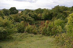 Totternhoe Knolls 9