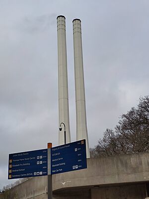 University of East Anglia Chimneys
