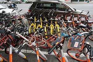 Various bike-share bikes in china