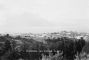 View looking from Chelsea to Birkenhead, Auckland (21477045650) (cropped)